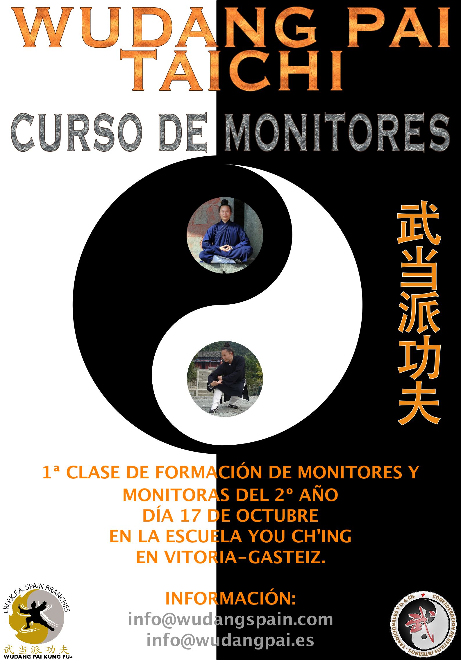 Wudang taichi