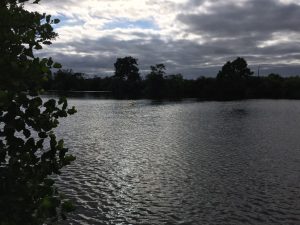 IMG_3879