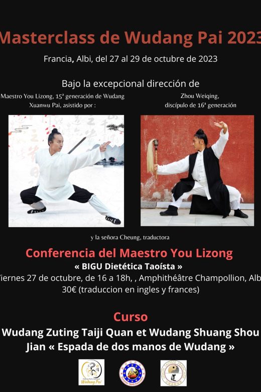 Masterclass Wudang Pai Xuanwu Pai You Lizong
