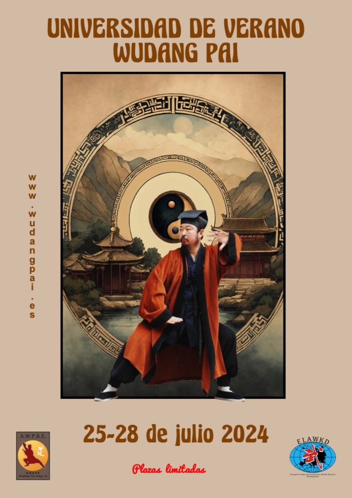 Wudang Taichi Wudang Kung Fu